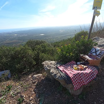 CountrysideXplorer (experiência gastro-cultural picnic) 